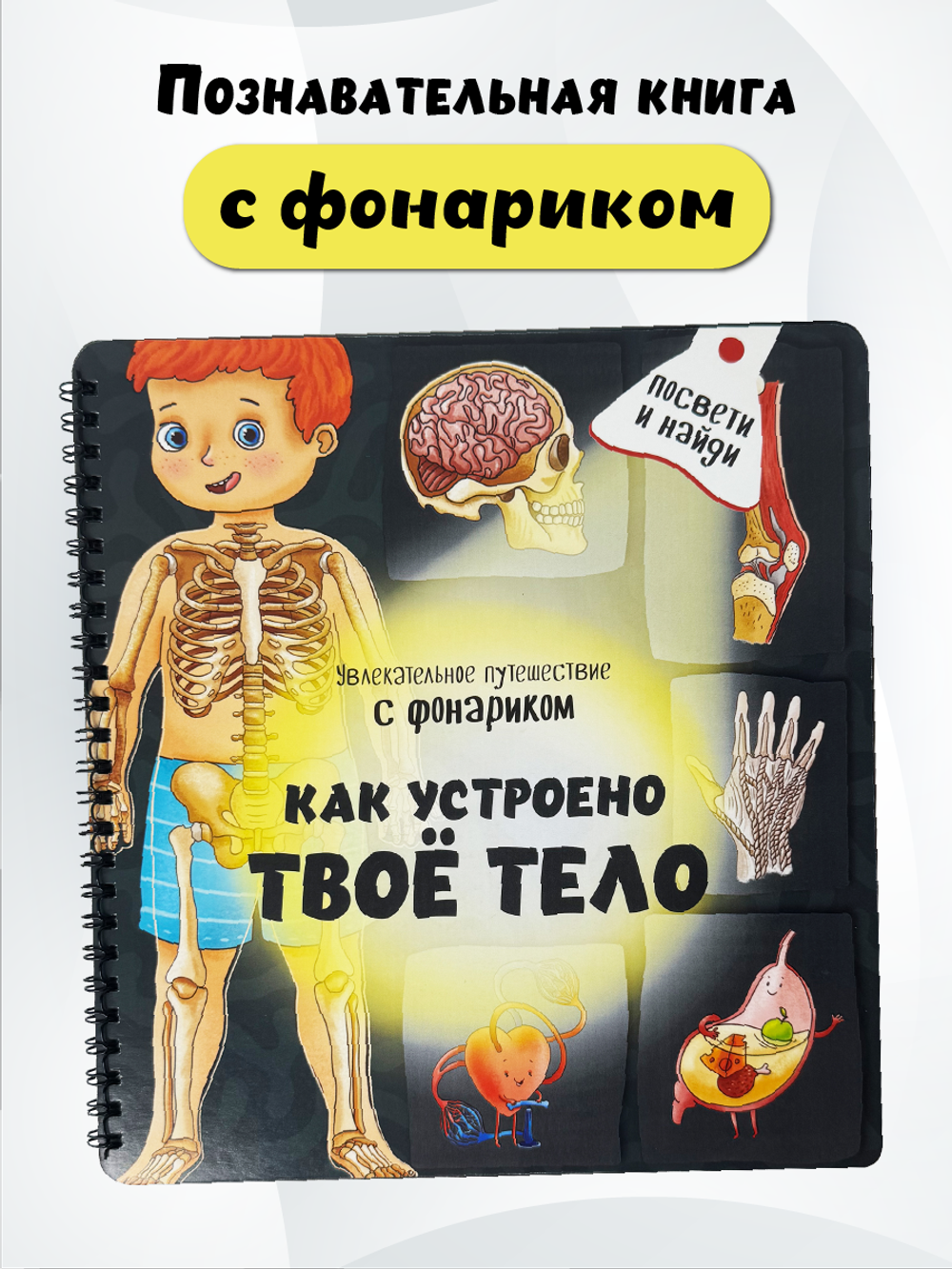 Книжка с фонариком "Как устроено твое тело"