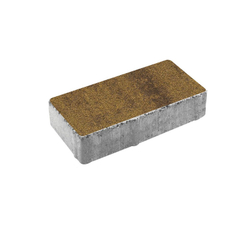 Тротуарная плитка ПРЯМОУГОЛЬНИК 200x100 мм - Листопад гранит Янтарь