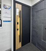 Входная дверь ТЕСЛА