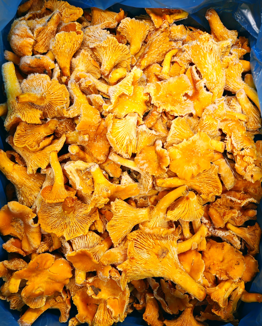 Лисички, 1кг