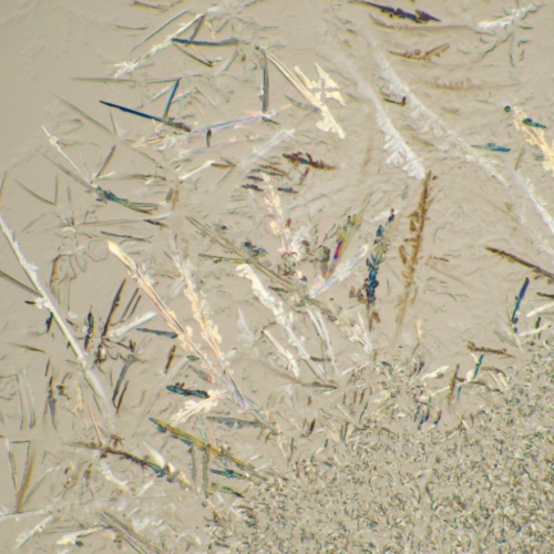 Микроскоп биологический MAGUS Bio 230B