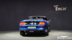 Ford Mustang GT Convertible (07.2022)