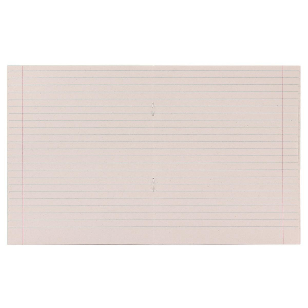 Тетрадь школьная А5 24 л линейка, белизна 65% (КПК) микс цветов (комплект 5 шт)