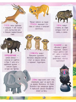 Книжка с наклейками формат А4. Приключения в жаркой саванне. 50 наклеек, изд.: Айрис, авт.: Барсотти Э., серия.: Книжки с наклейками