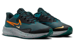 Кроссовки Nike Pegasus 39