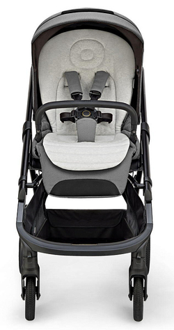 Прогулочная коляска Inglesina Aptica XT 2025 Canyon Grey
