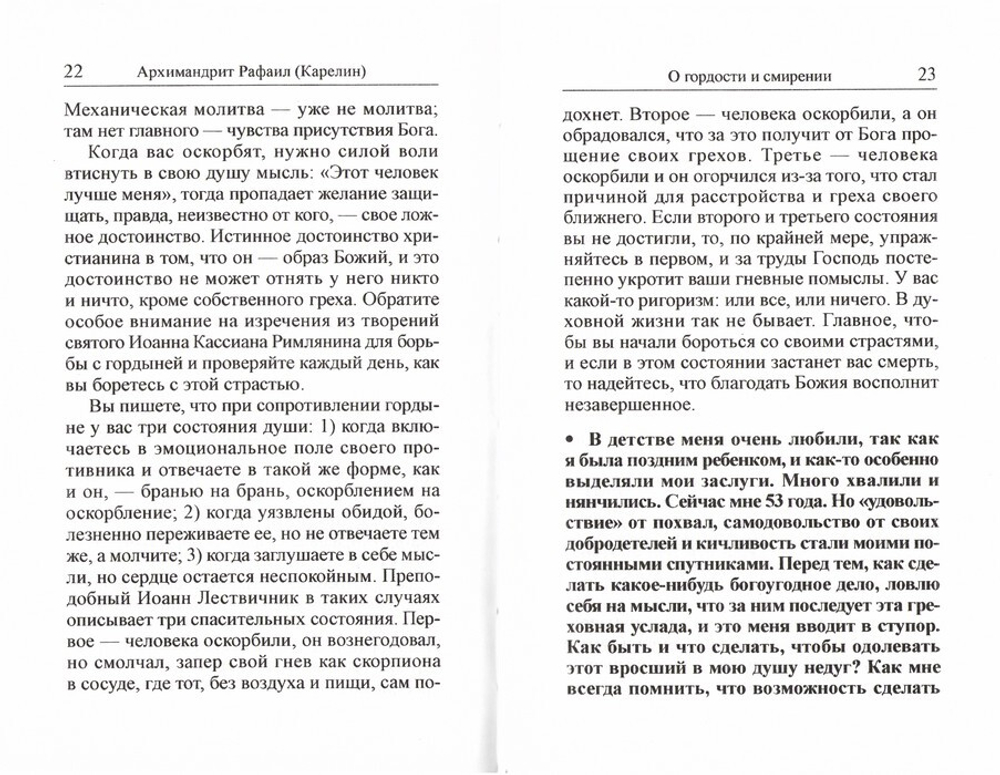 О внешних и внутренних проблемах духовной жизни в 2-х частях. Вопросы-ответы. Архимандрит Рафаил (Карелин)