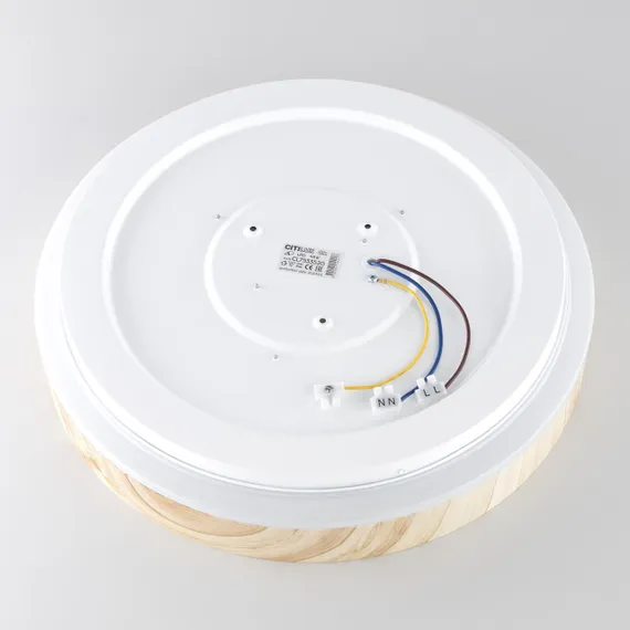 CL753352G ENZO Клен LED Св-к с пультом