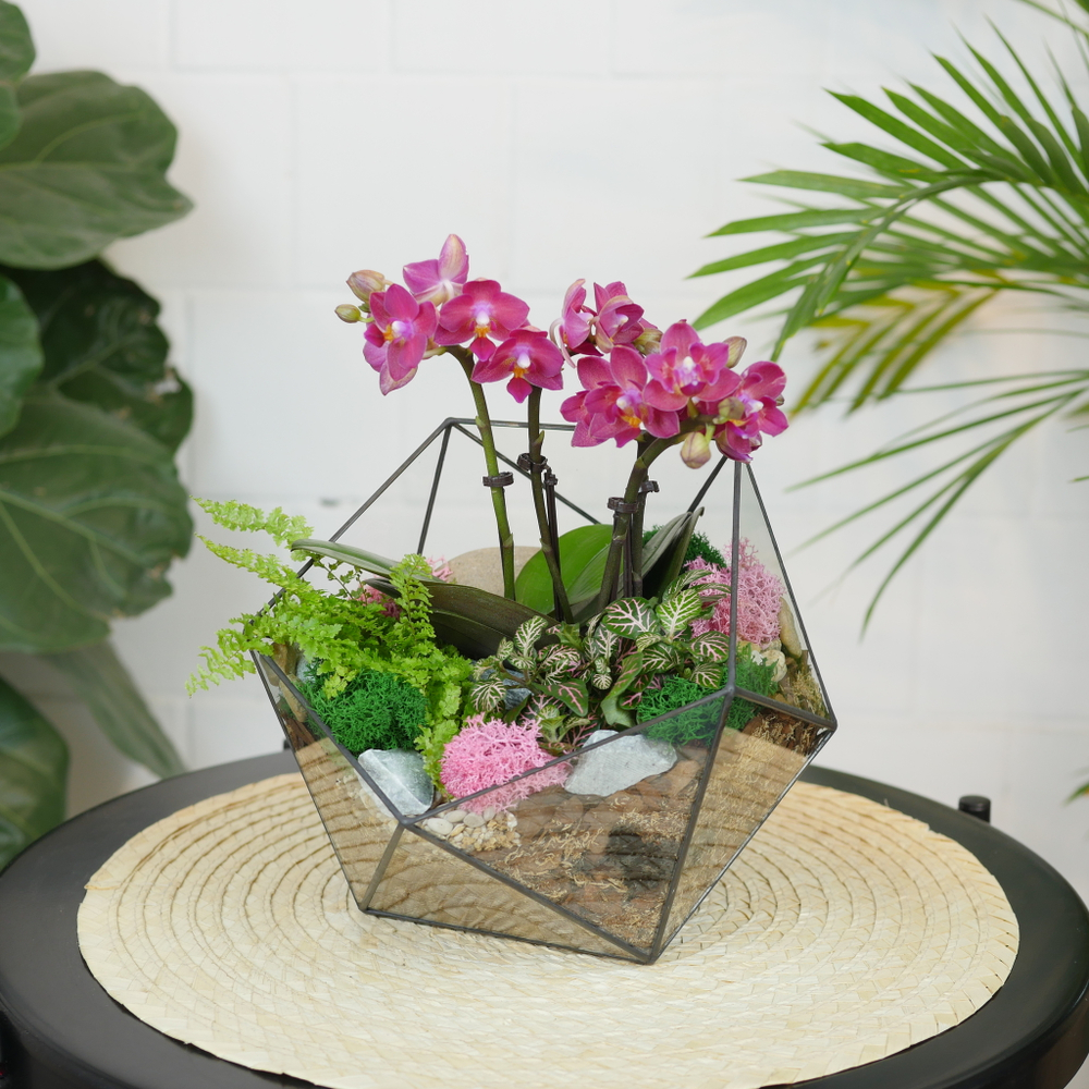 Готовый флорариум с лиловой орхидеей Икос