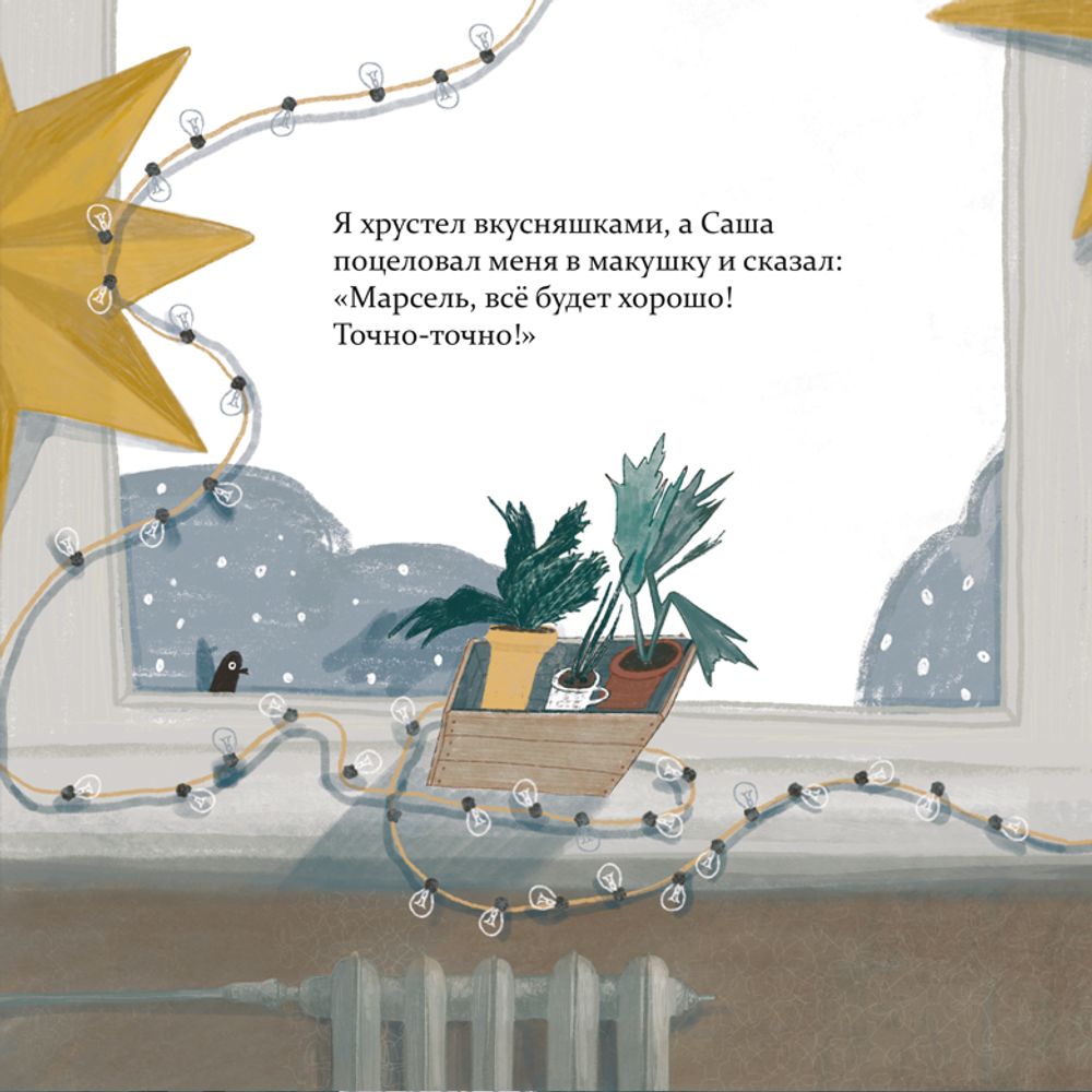 Марсель встает на лапы