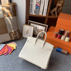 Hermes Birkin 25