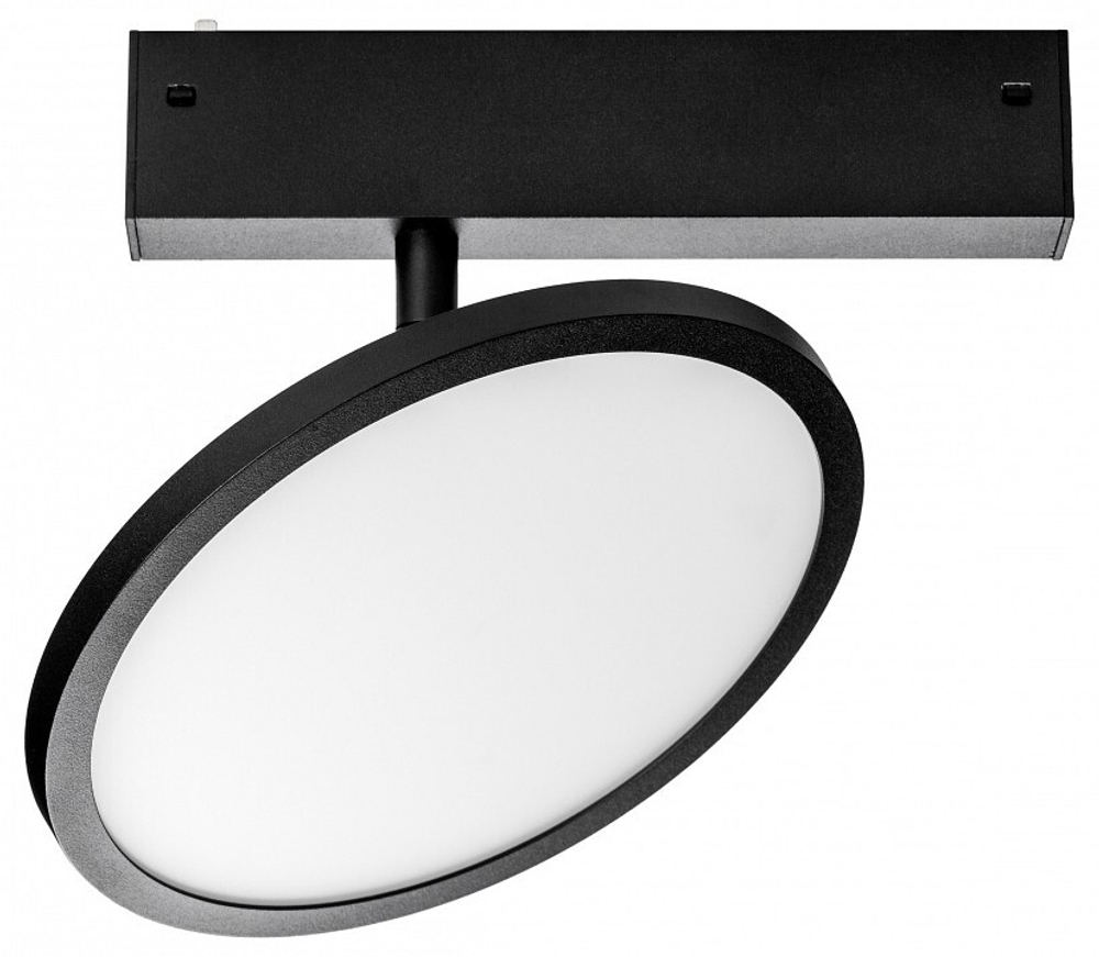 Светильник на штанге Lightstar Teta 205707