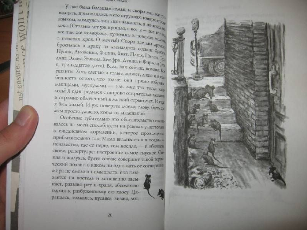 Фирмин. Из жизни городских низов