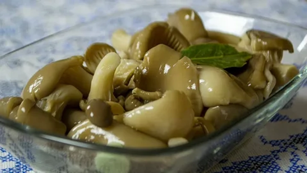 Грибы Ассорти (опята/вешенки) маринованные 2,5кг