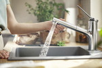 Смеситель для кухни Hansgrohe Zesis M33 74800000 хром