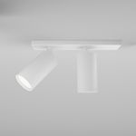 Потолочный светильник Technical C051CL-U-2W