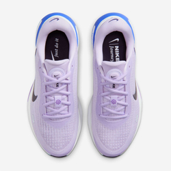Кроссовки женские NIKE W NIKE JOURNEY RUN