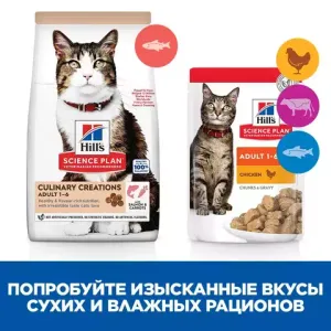 Сухой корм для кошек Hill's Science Plan Culinary Creations, для поддержания жизненной энергии и иммунитета, с лососем и морковью