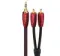 AudioQuest Golden Gate 3.5m-2RCA 2.0 m