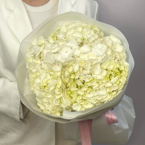 Монобукет из 5 белых колумбийских гортензий. Монобукет 061 Chalet Green