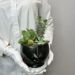 Микс суккулентов «Темное дыхание»