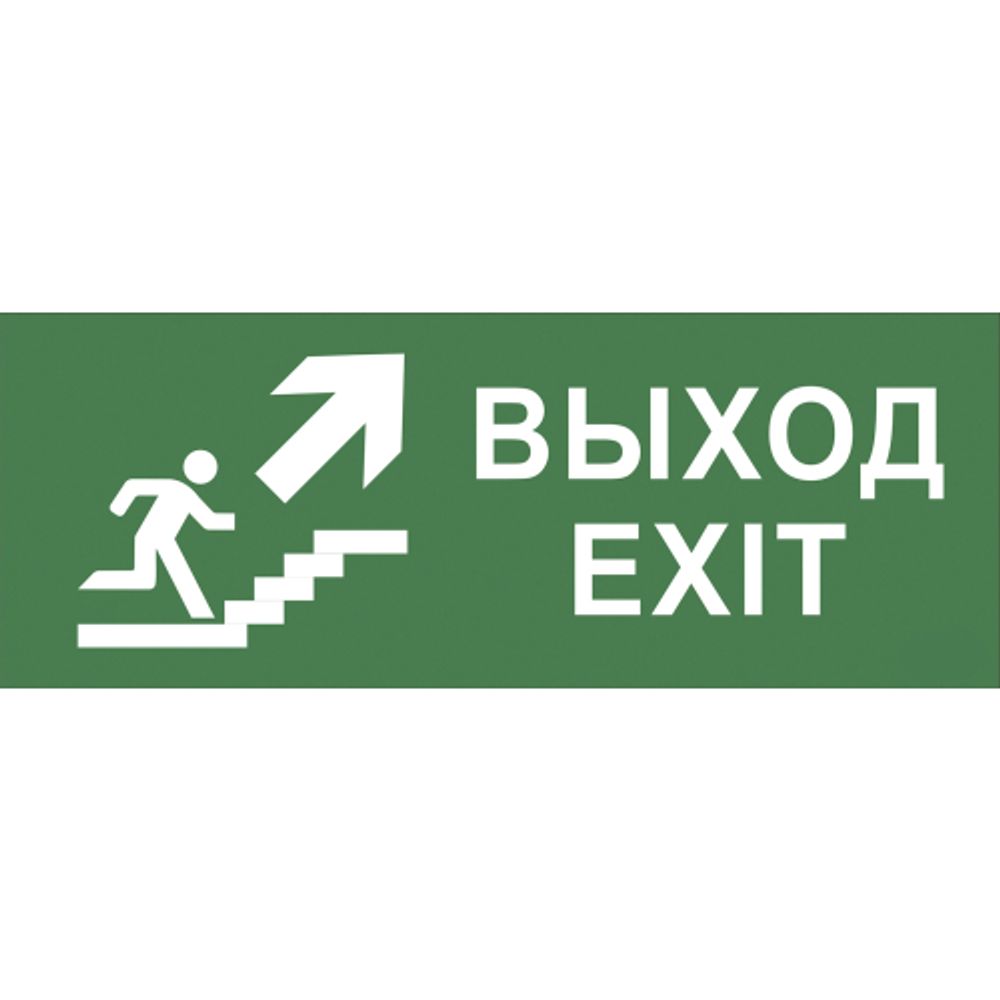 Самоклеящаяся этикетка ЭРА INFO-SSA-110 330х120мм Выход/лестница вверх/фигура SSA-101/DPA-301 | Наклейки для светильников (знаки безопасности)