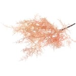 Искусственные цветы «Волшебная трава» 38см цвет розовый