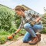Ножницы-кусторез аккумуляторные STIHL HSA 26 Телескопическая штанга HA030113516кк
