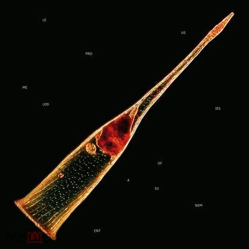 Leprous / Melodies Of Atonement (2LP)