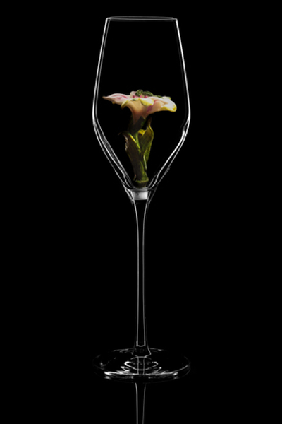 Бокал для шампанского Флюте. / Альстромерия. Роспись.