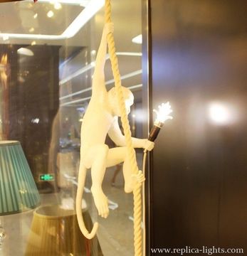 design lighting  20-116