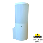 Уличный настенный светильник Fumagalli AMELIA DR2.570.000.WYF1R