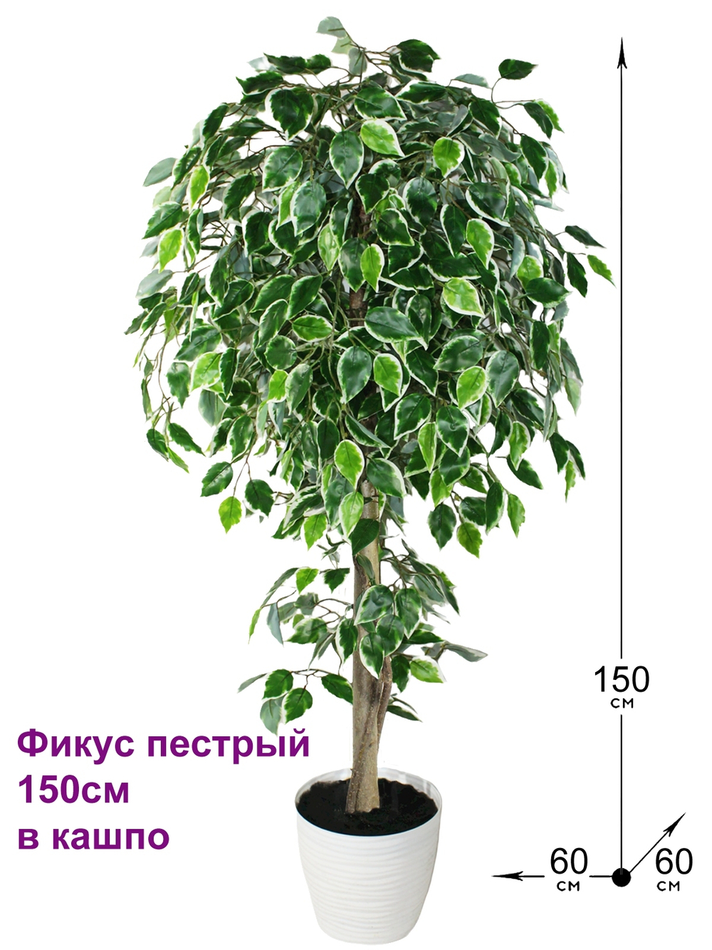 Искусственное дерево Фикус пестрый 150см в кашпо