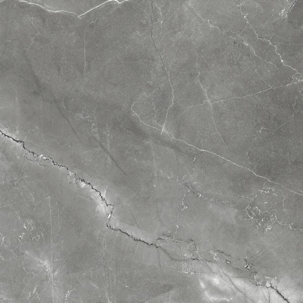 PULPIS NERO CR6011-A