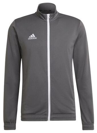 Мужская теннисная кофта Adidas Entrada 22 Track Jacket - серый