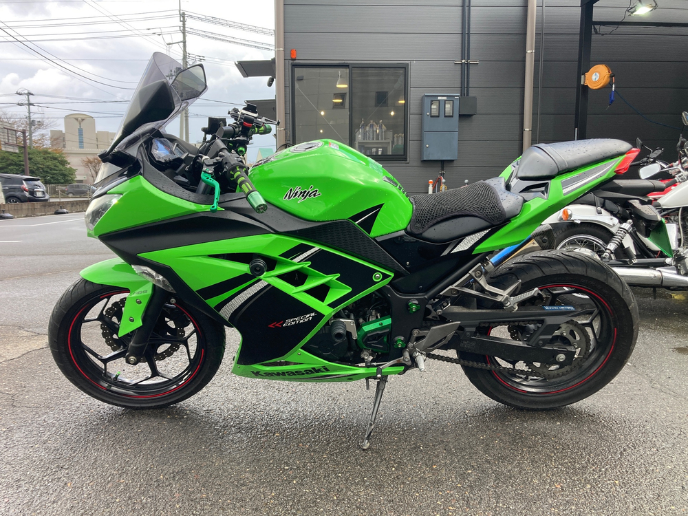 Kawasaki Ninja 250 A 039582