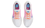 Кроссовки Nike Pegasus Turbo Next Nature Together (Женская размерная сетка)