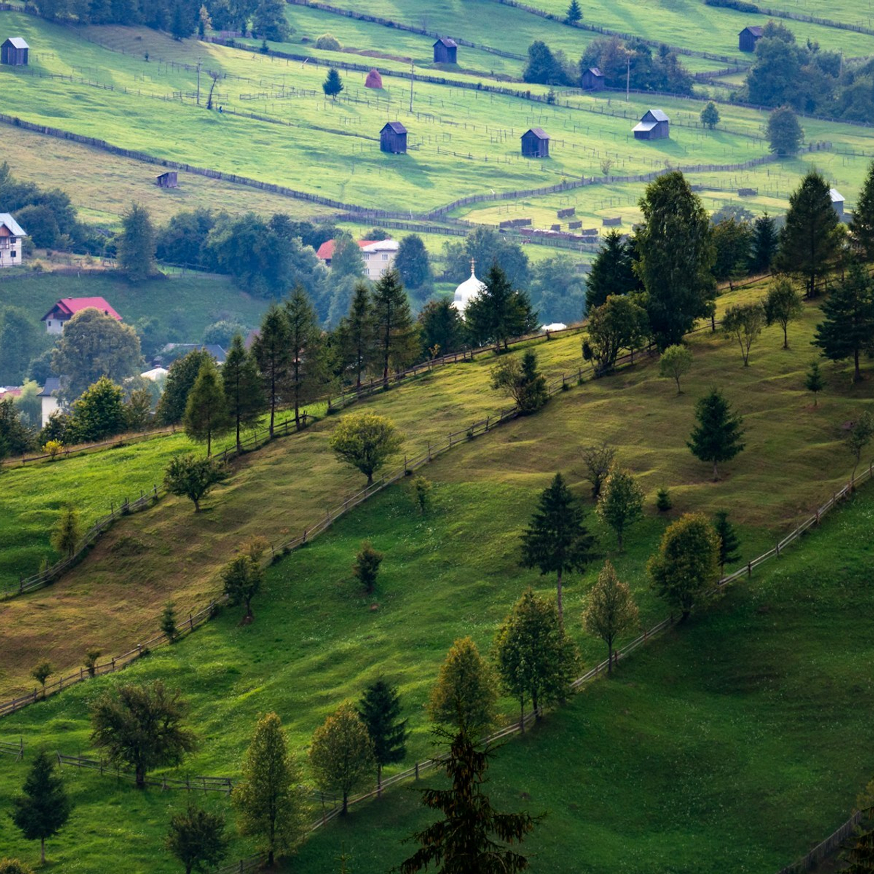 Путешествуйте с NordVibe