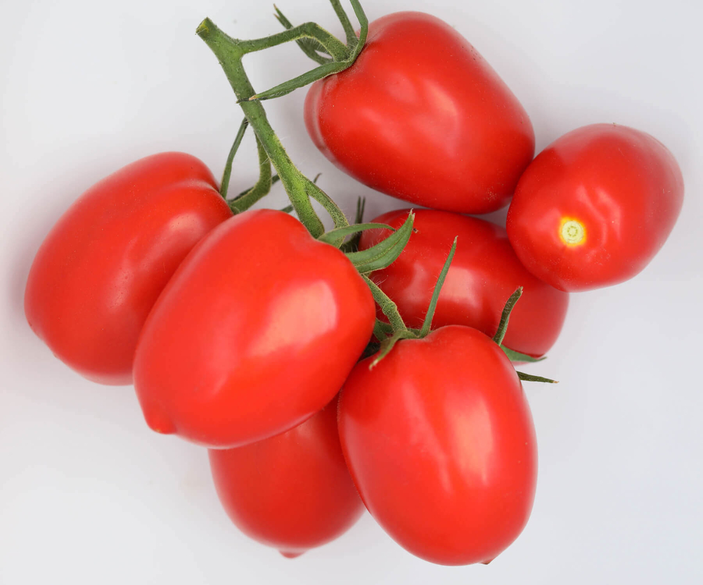 Армата F1 семена томата индетерминантного (Гавриш) (100 шт.)