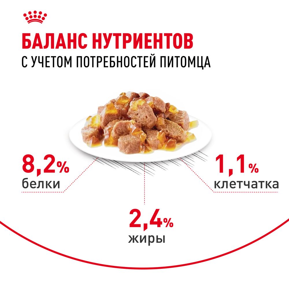 Пауч Royal Canin Appetite Control Care для взрослых кошек — для контроля выпрашивания корма, мелкие кусочки в желе