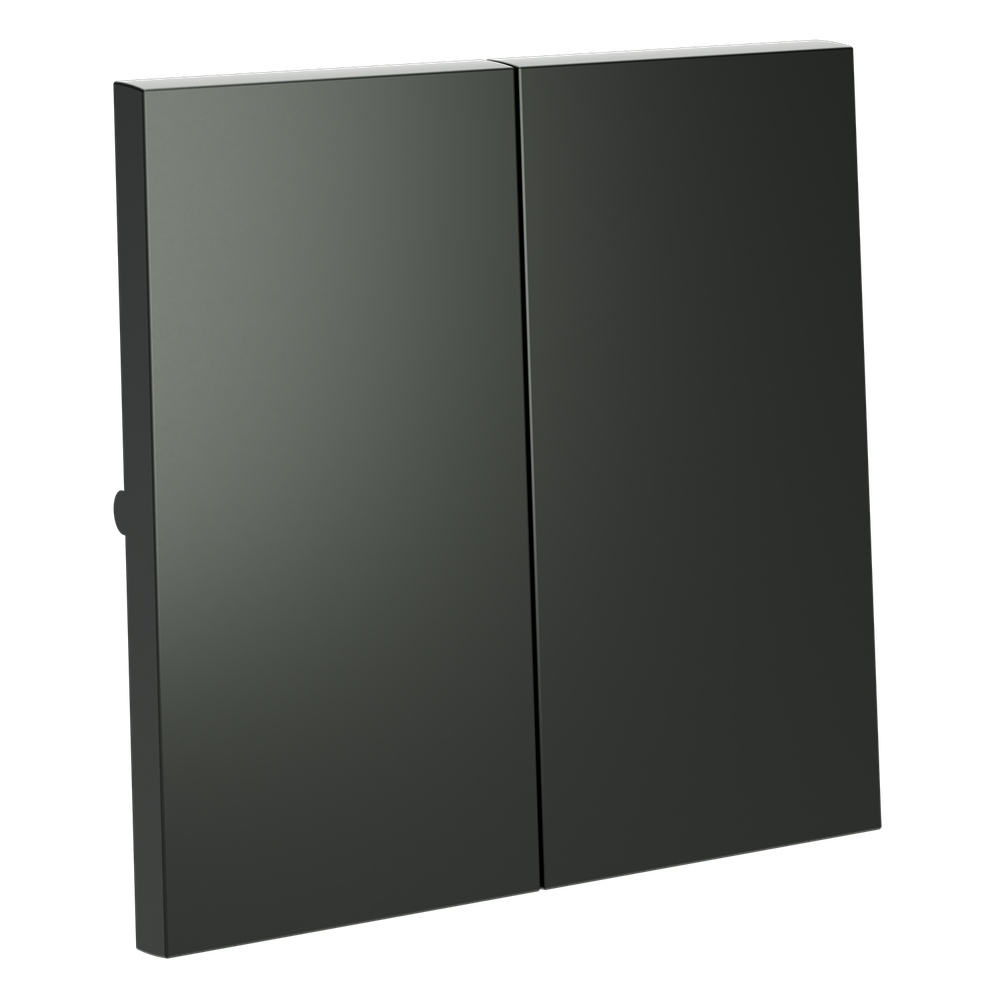 Клавиши для выключателя/переключателя двухклавишного, S70 (титан)