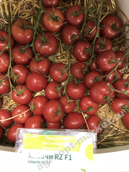 Хибачи F1 семена томата индетерминантного (Rijk Zwaan / Райк Цваан) продукт – фото 6