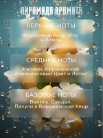 Отдушка для свечей парфюмерная Donna мыла