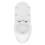 Унитаз импульсный Azario 360х570х450 напольный, полукруглый, быстросъемное сиденье микролифт (AZ102)