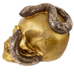 GAEM Копилка "Череп со змеей", L23 W16 H18 см, 2в.