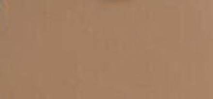 Waterproof bronzing powder Sport Addicted Бронзовый r ( Bronzing Powder) 7 g