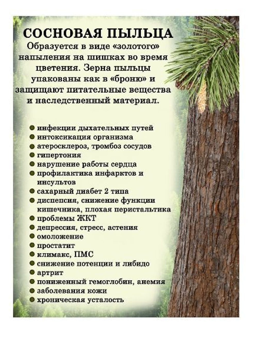 Batel. Сосновая пыльца натуральная, усиленная природными антиоксидантами