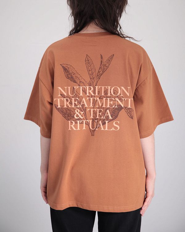 Футболка NTTR Nutrition Коричневая - фото 4