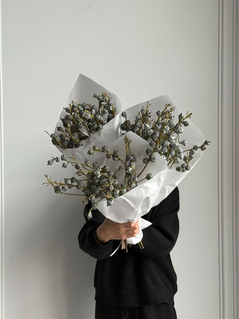 Охапка эвкалипта глобулус 5 шт