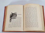"Из жизни русской природы. Зоологические очерки и рассказы". М.Н.Богданов. 1889г. - антикварное издание